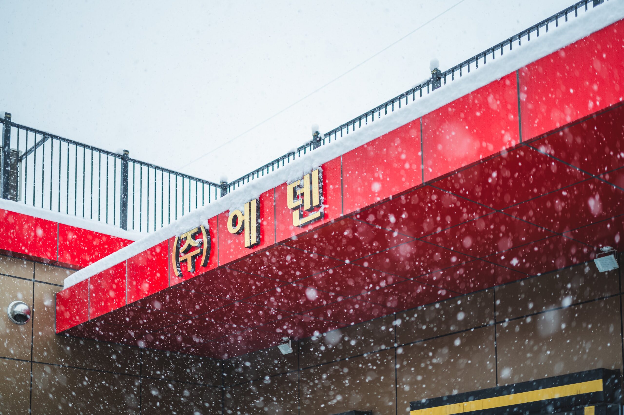 1128 첫눈 6 8 scaled